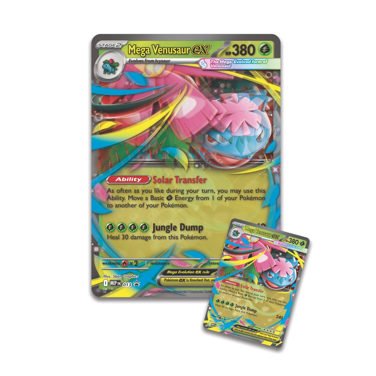 Pokémon Tcg Mega Venusaur Ex Premium Collection Inglés