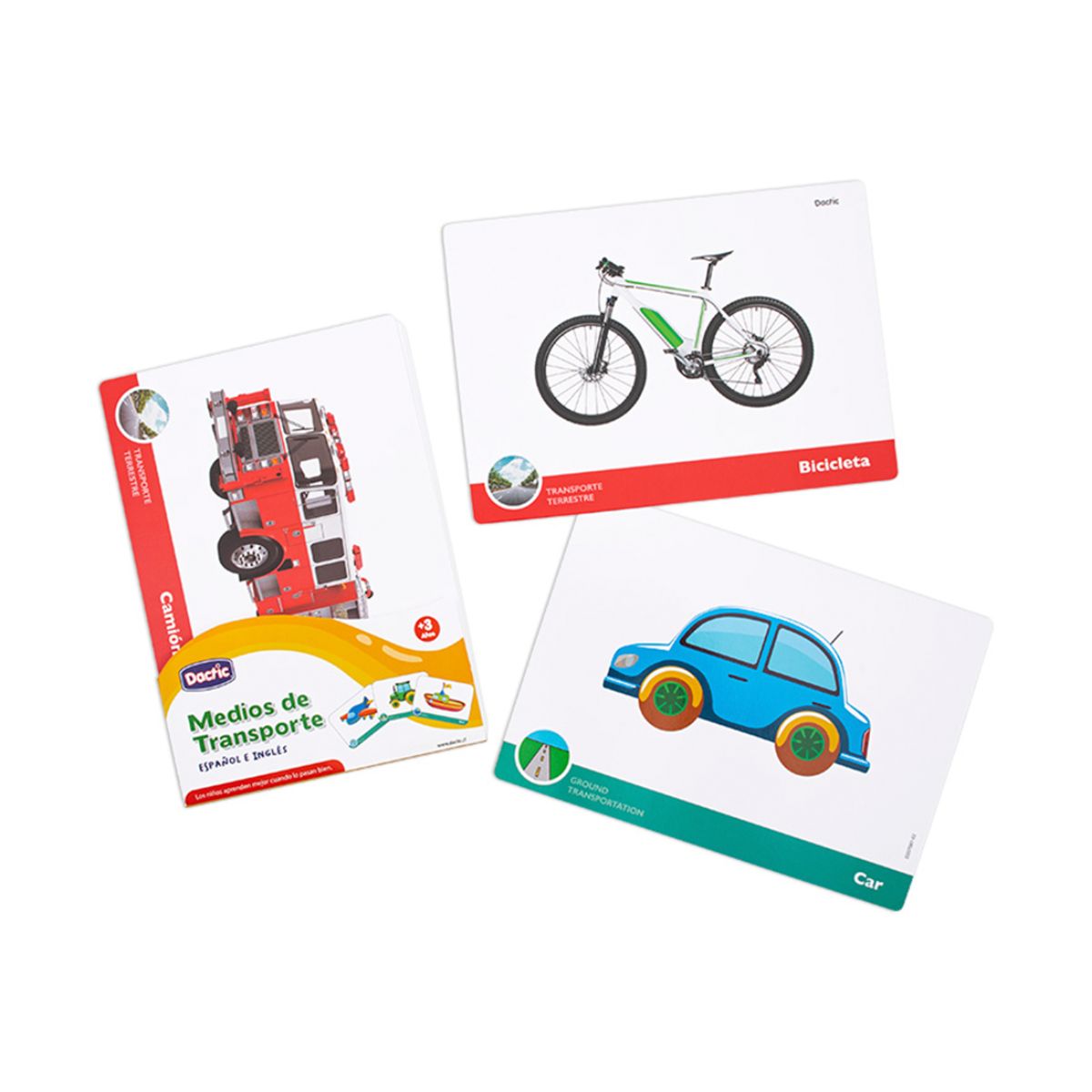 Lámina Medio De Transporte 21X15Cm Dactic