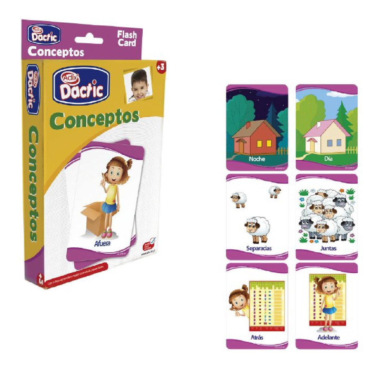 Lamina Conceptos