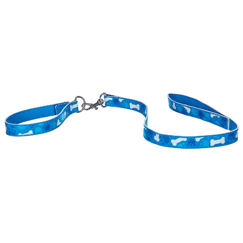 Collar Con Correa Azul 2 Promise Pets Build-A-Bear