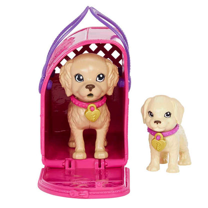 Barbie Set De Juego Adopta Un Perrito Latina