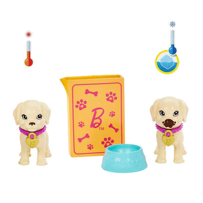 Barbie Set De Juego Adopta Un Perrito Latina