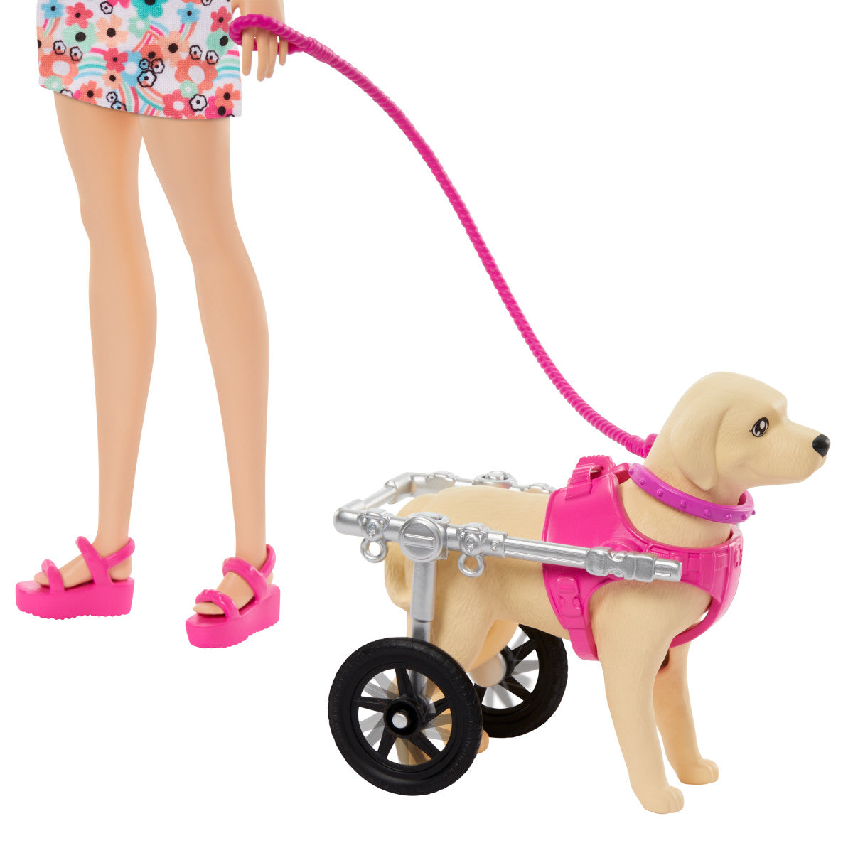 Barbie Set De Juego Paseo De Perrito Con Silla De Ruedas