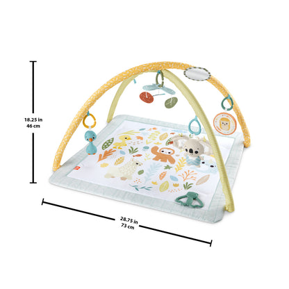 Fisher-Price Baby Gimnasio Para Bebés Primeros Sentidos