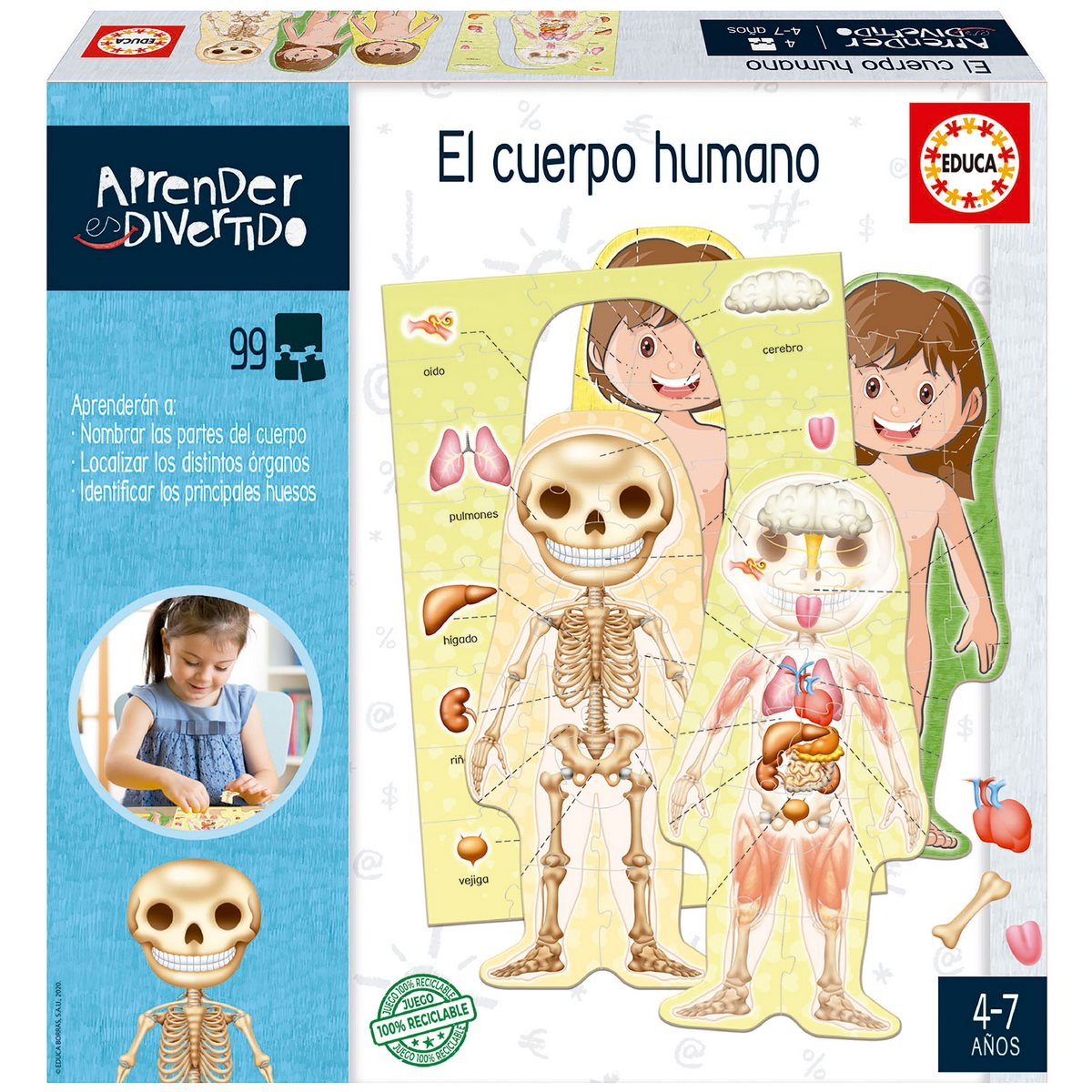Juego Aprendo El Cuerpo Humano Educa