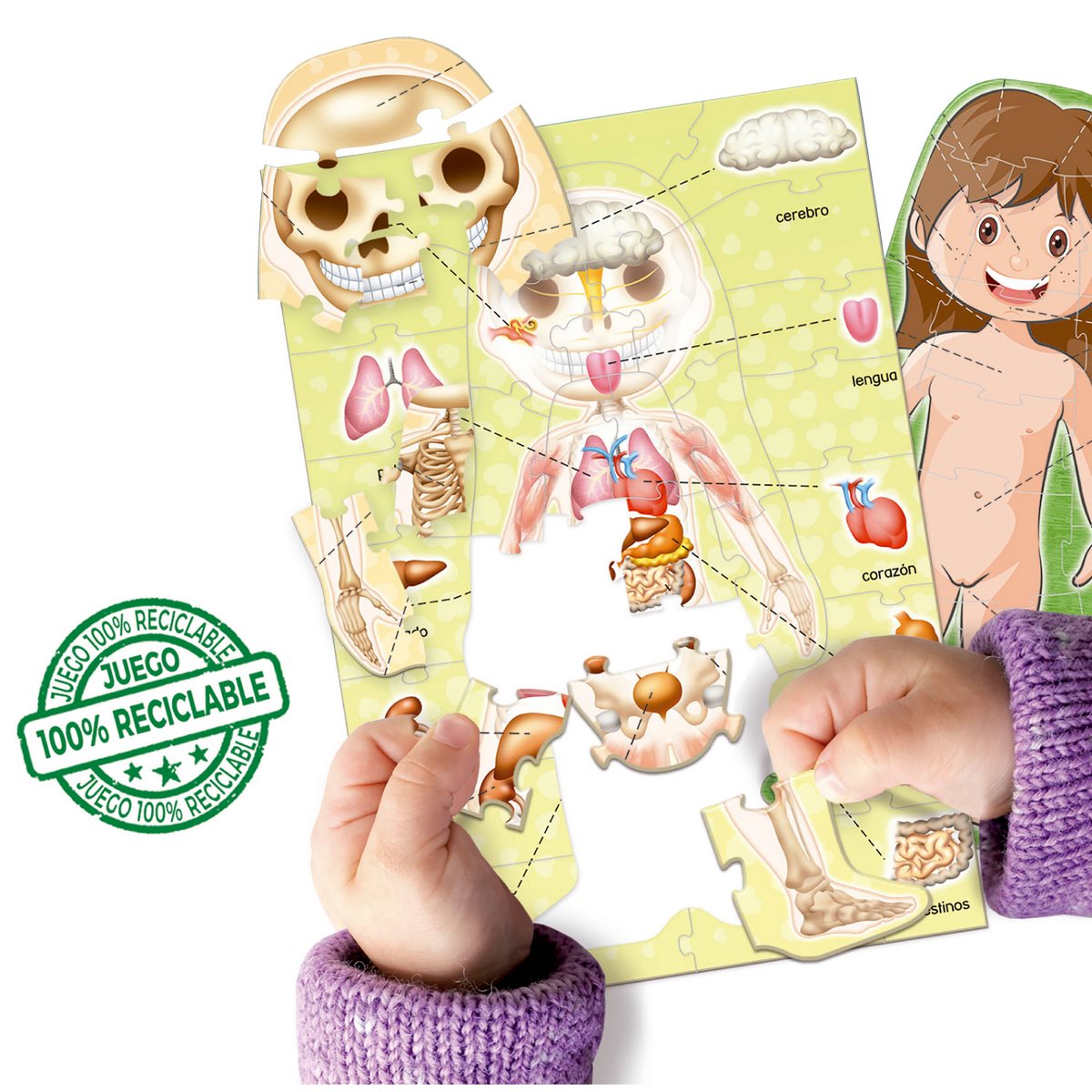Juego Aprendo El Cuerpo Humano Educa