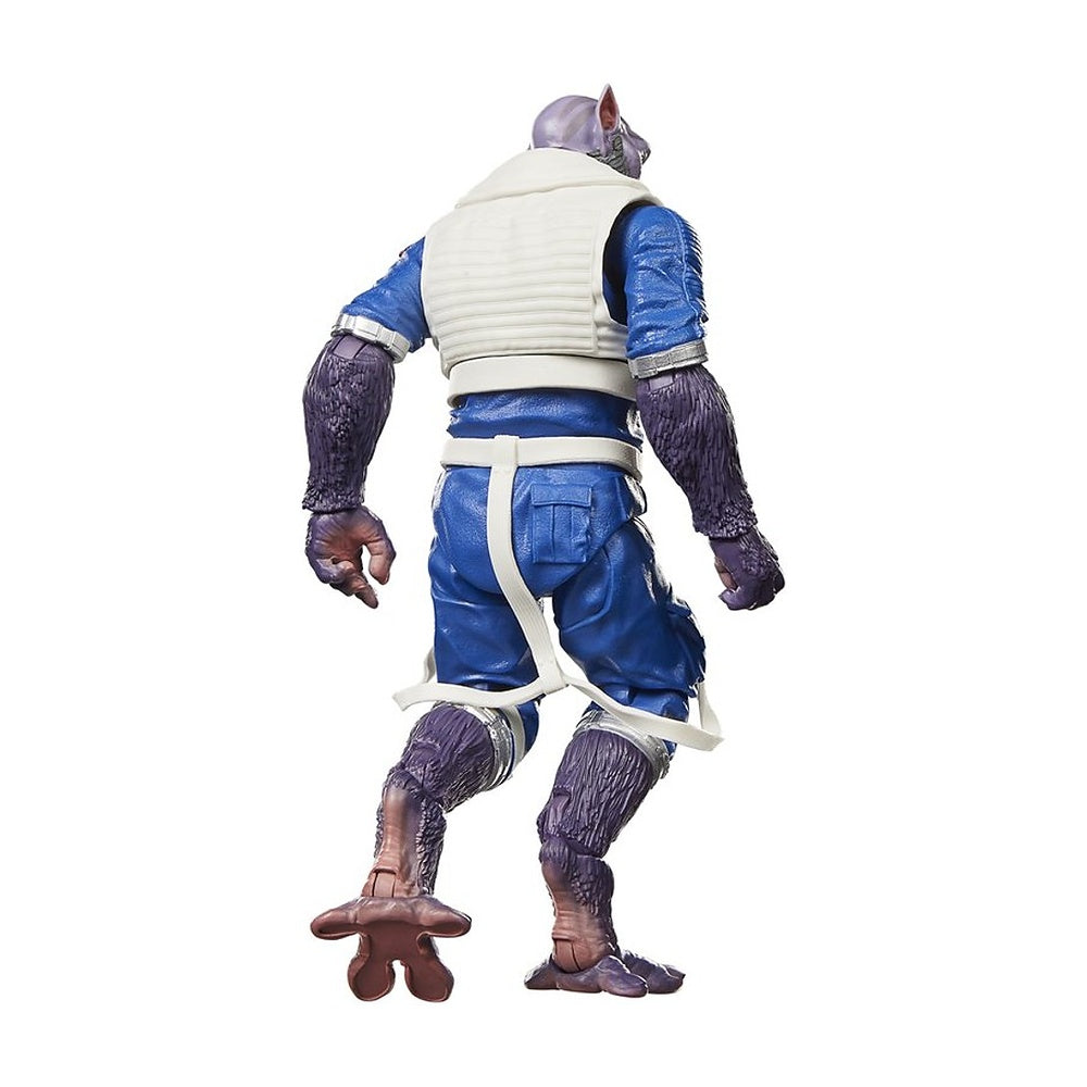 Star Wars Bl Deluxe Figure 2