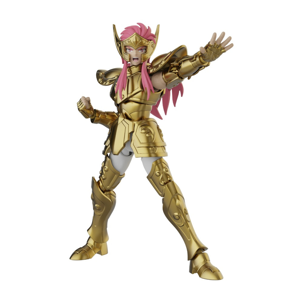 Blokees Saint Seiya Champion Aquarius Collector - foto 4
