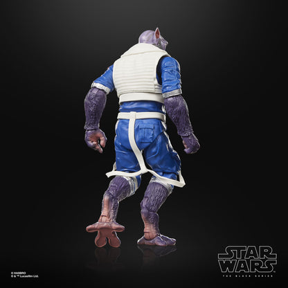 Star Wars Bl Deluxe Figure 2