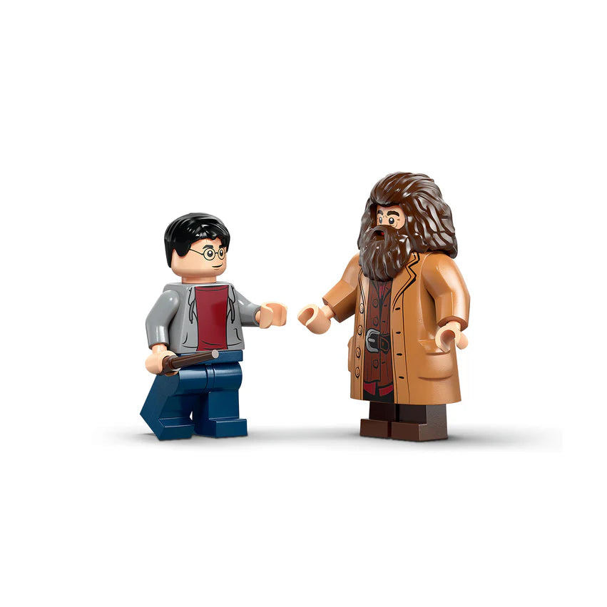 HARRY ハリー　無常人 Hagrid Y Harry Escape De Privet Drive Lego Harry Potter Tm