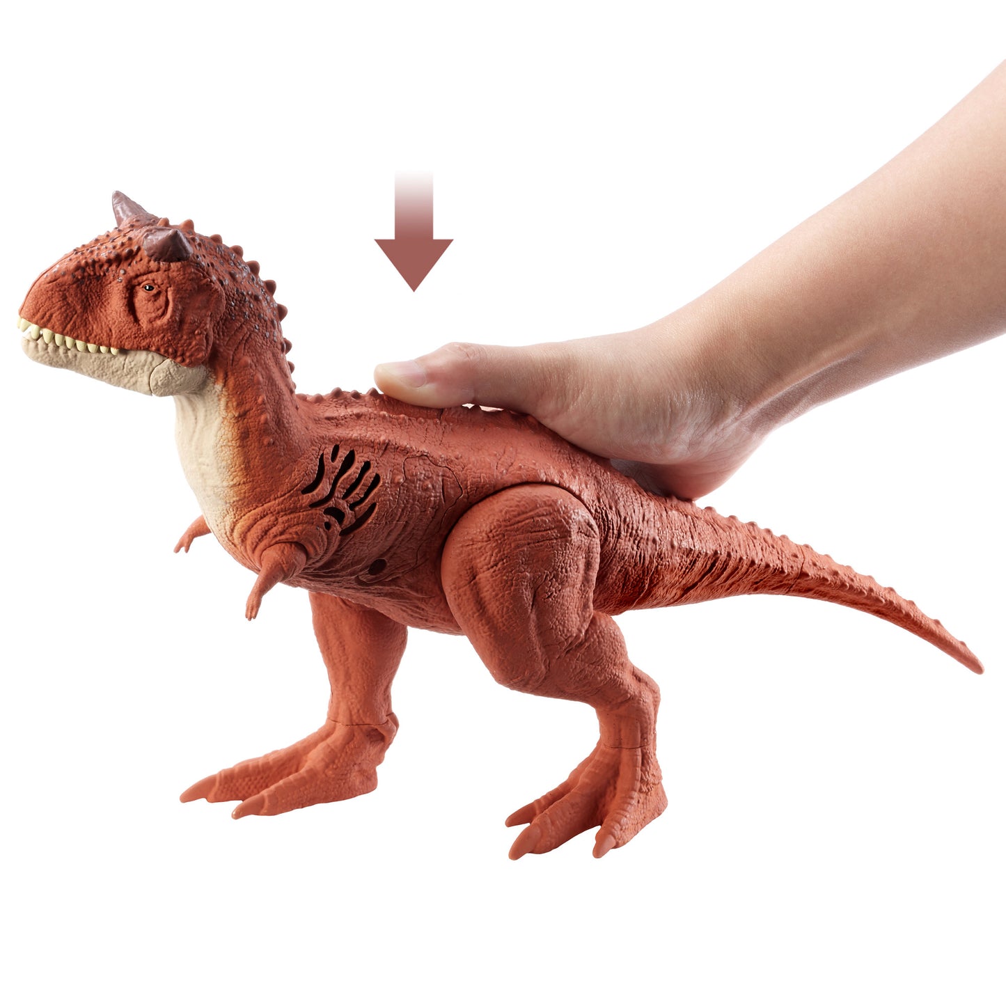 Jurassic World Dinosaurio De 12 Pulgadas Con Efectos De Sonido - Carnotaurus-6